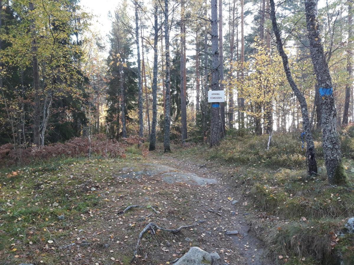 Tiny House In The Middle Of Nature Åkersberga Kültér fotó